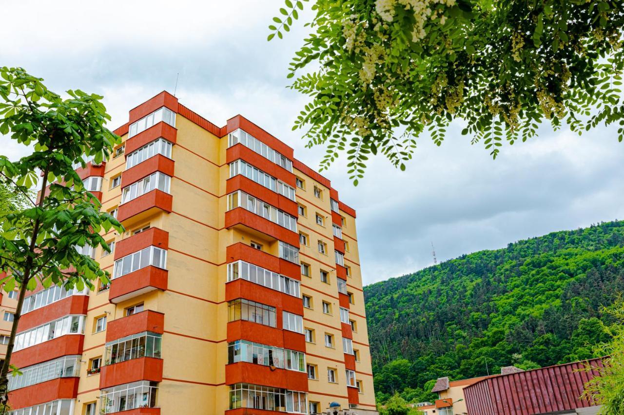 Mid-Term Rental Racadau Apartment Брашов Экстерьер фото